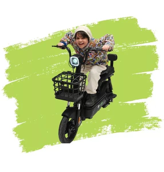 Evee Flipper Graphene electric scooter product image
