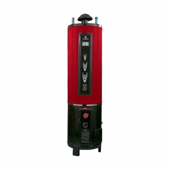 Beetro FG-25 - Variant 445 product image